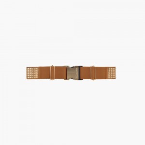 Ceinture Goldbergh STUD Marron | FJ6805347
