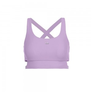 Maillots De Bain Goldbergh ATLANTIC swim bra Violette | NF7826143