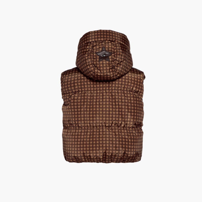 Gilet Goldbergh TEAMPLAYER ski Marron Foncé | MG8620153