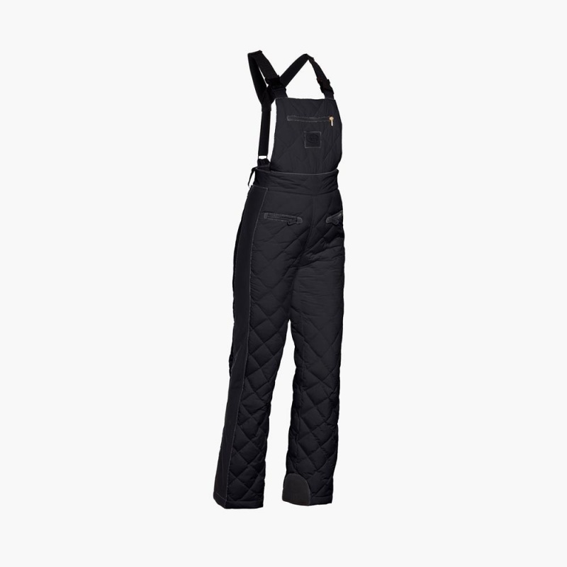 Pantalon Ski Goldbergh AGNES ski salopette Noir | KS7920645