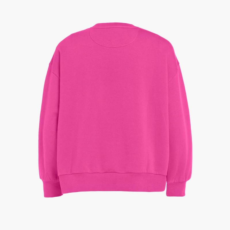 Pull Goldbergh RINK crew neck Rose | PY0789342