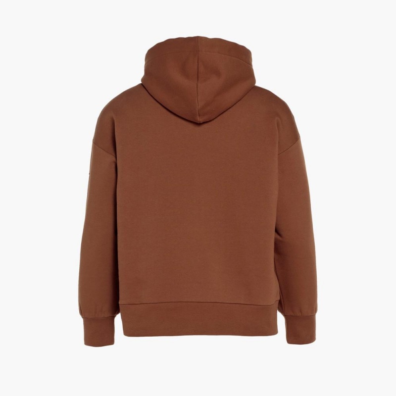 Sweat a Capuche Goldbergh HARVARD hooded sweater Beige | YU2790348