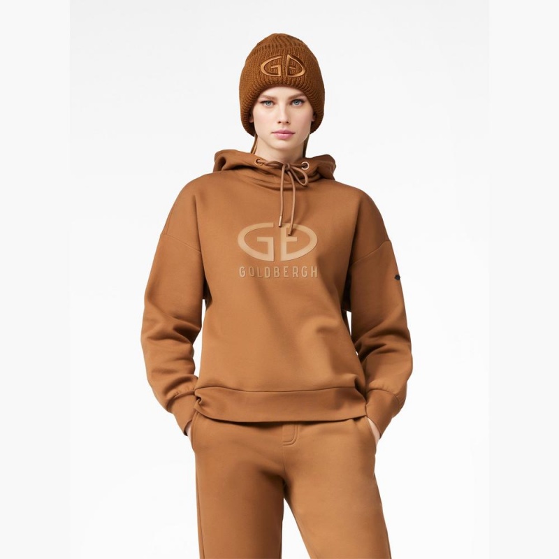 Sweat a Capuche Goldbergh HARVARD hooded sweater Beige | YU2790348